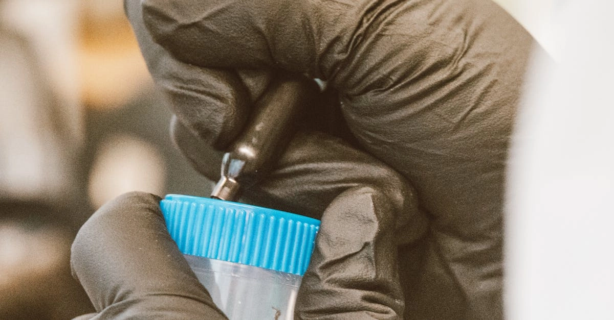 Технический обзор слота Cleocatra - анализ игрового движка и производительности