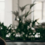 Технический обзор немецких игорных сайтов онлайн