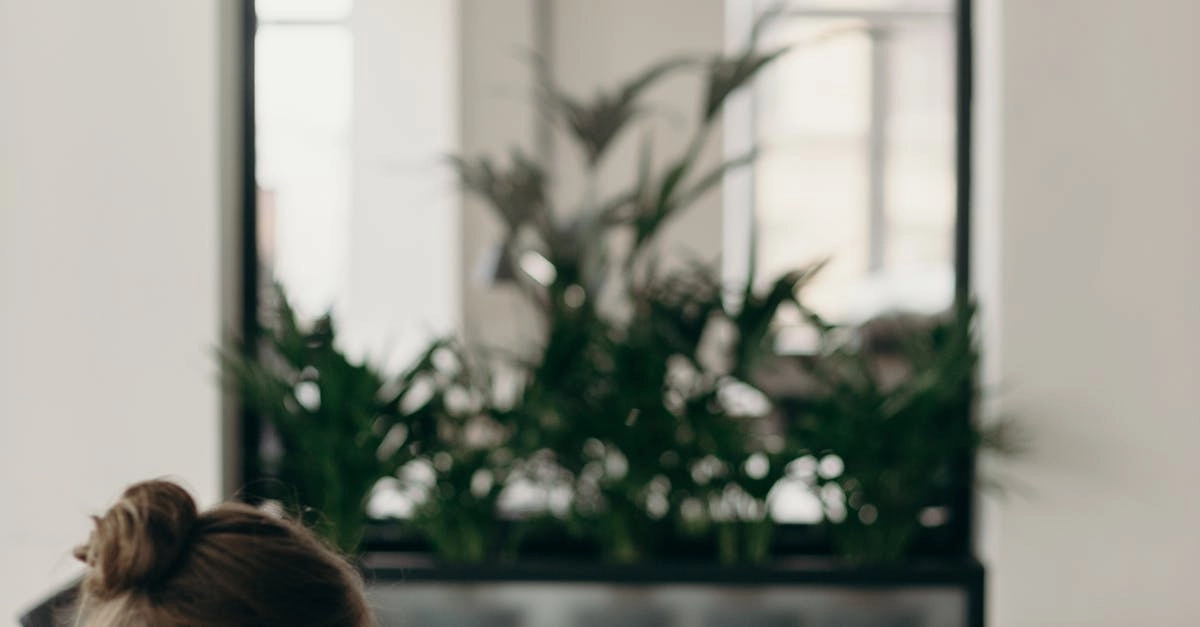 Технический обзор немецких игорных сайтов онлайн